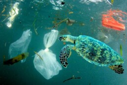 Ocean Plastics Treatment